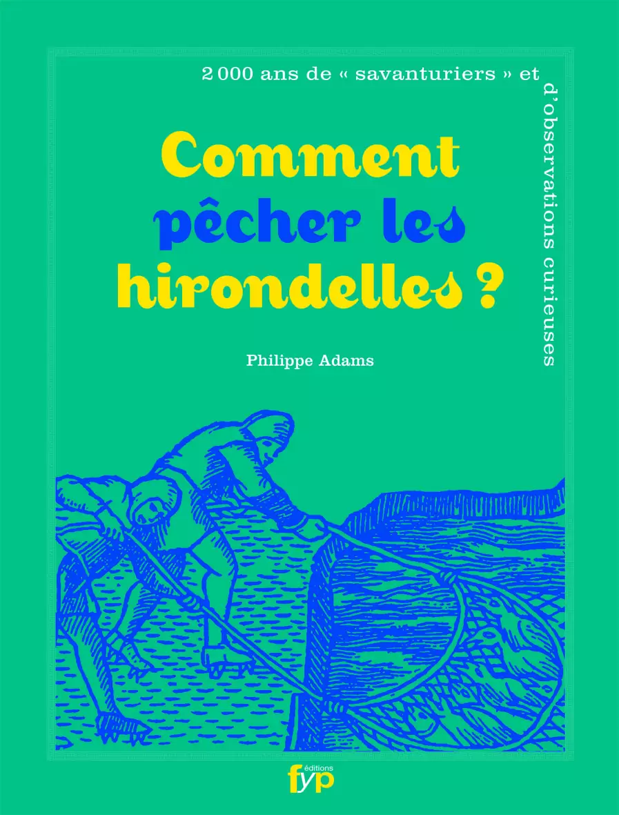 Couverture de Comment pêcher les hirondelles ?